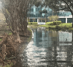 Raymond James building after Hurricane Milton